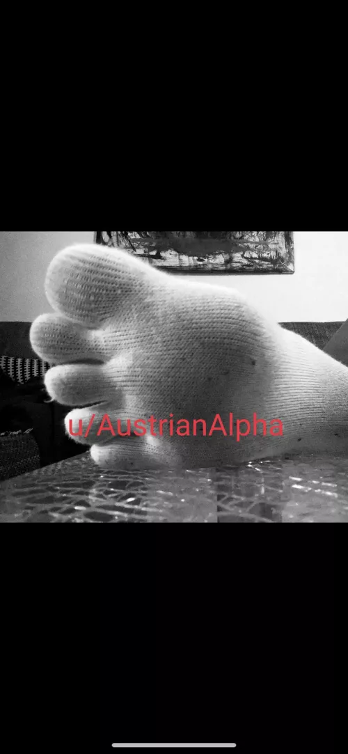 my superior SOCKFEET are the Altar of my Cult to be admired adored praised served and worshipped! by AustrianAlpha