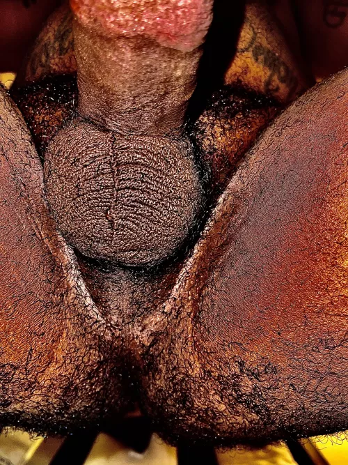 My taint and ass have been craving attention. by blkindigo