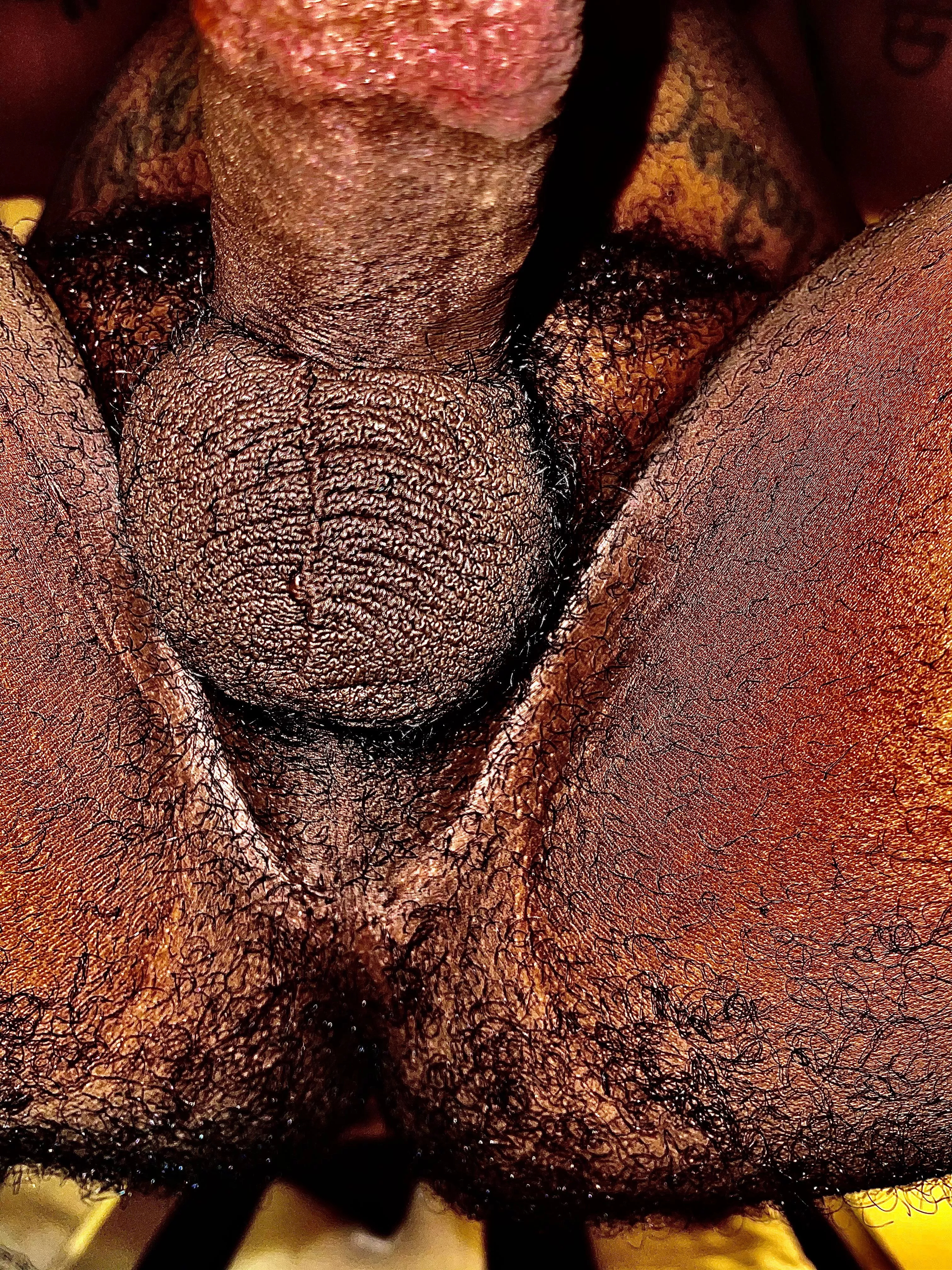 My taint and ass have been craving attention. posted by blkindigo