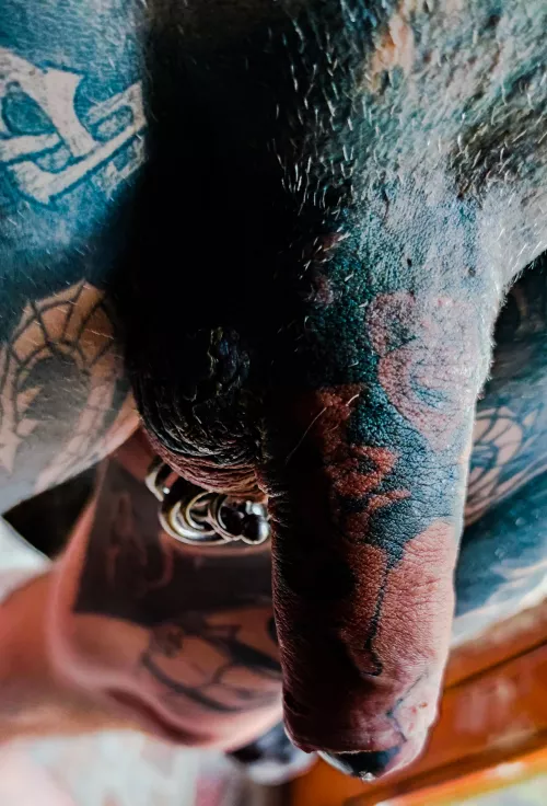 my tattooed fun stick by National_Painting534