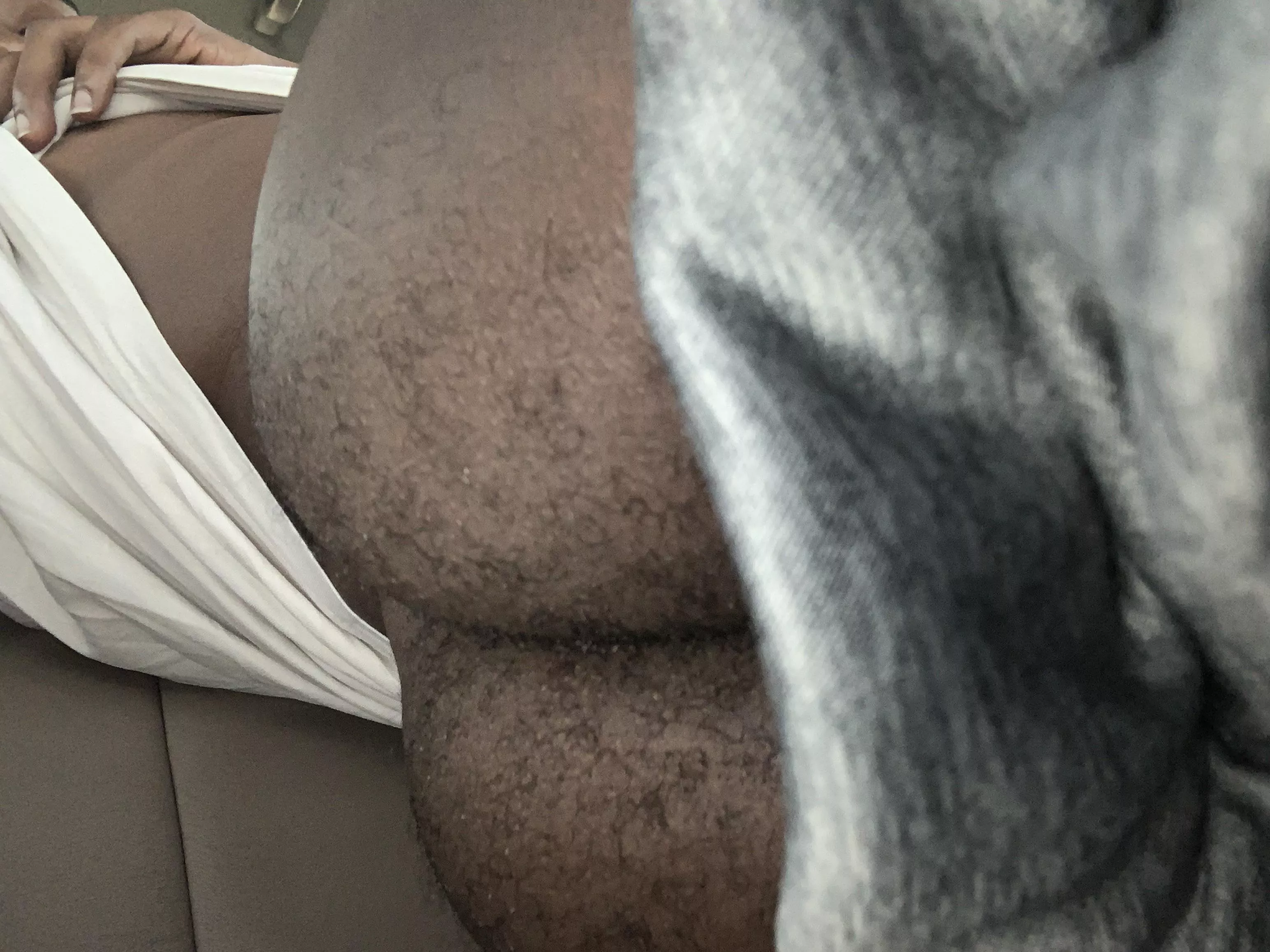 My tiny asss posted by Thelemonadebase