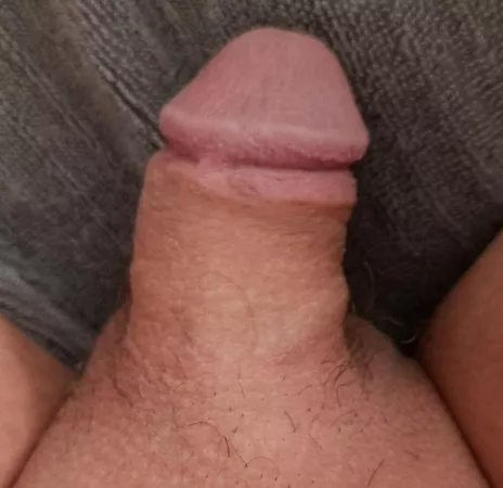 :) my tiny dick (18) by joe171813