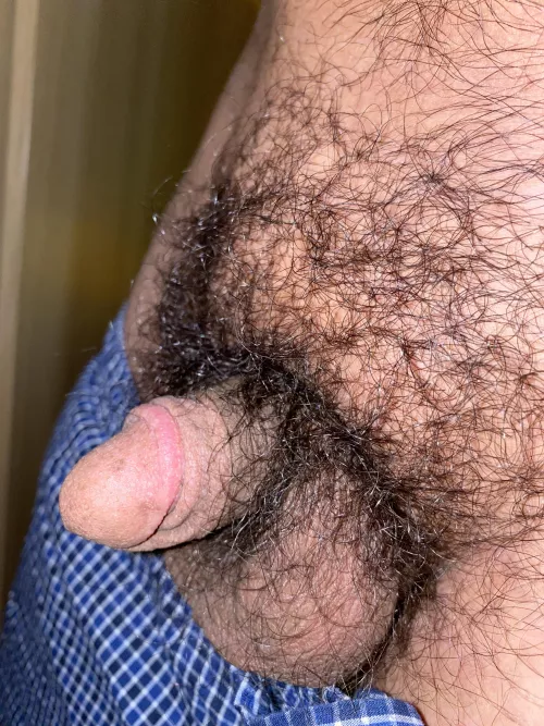 My tiny dick (22) by Enough_End6437