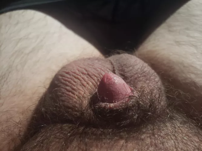 My tiny dick leaking precum [22] by isdisposable169