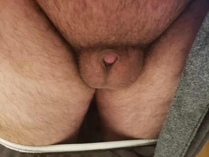 My tiny dick while soft hiding away [22] by isdisposable169