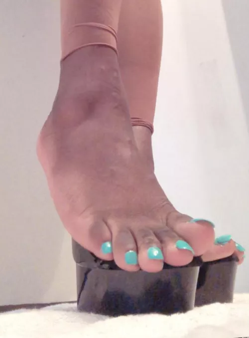 My toes need some hot thick cum by tgirlshayla