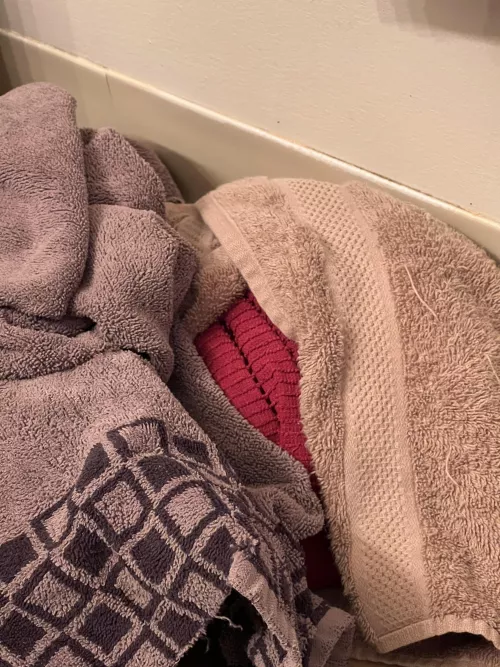 My towels this morning. by BurrStreetX