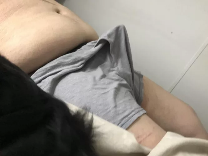 My typical morning. Would anyone like to unwrap? by tossaway930