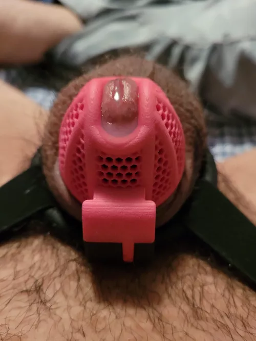 My Valentine's Day, in one photo by justanotherdavid2