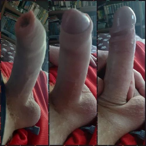 My various stages of coverage by westb_warrior