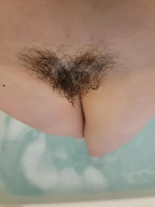 My view by arthoe_louise