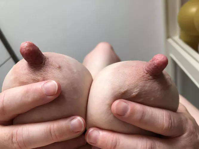 My wife again… the best nipples by Plastic_Split_8145