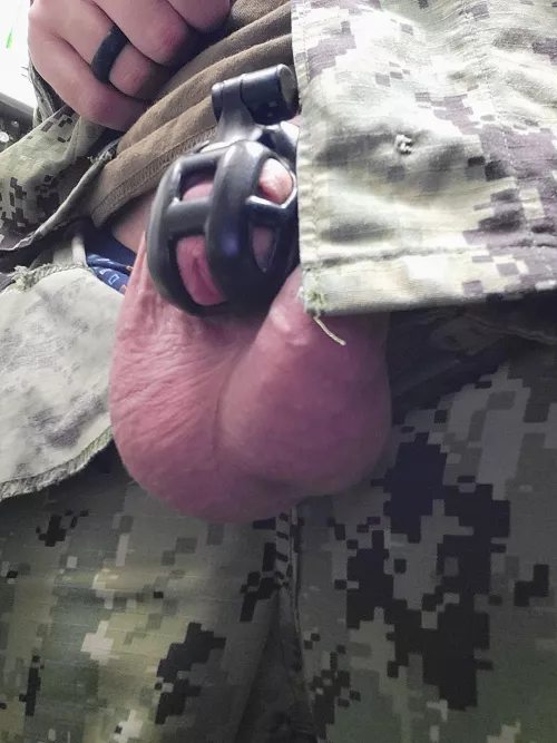 My wife locked me away and turned me into her bitch boy. by Ok_Honeydew9100