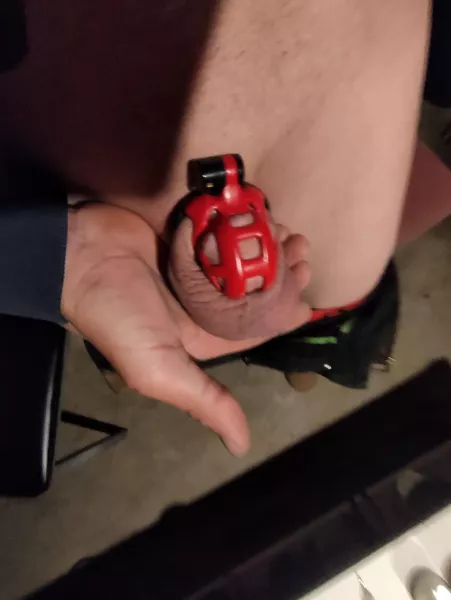 My wife wants proof every day..... by shitsandgigssss