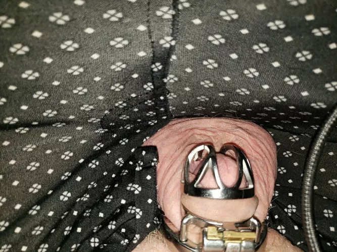 My wife's punishment for cheating. 😭 by WolfmanLex