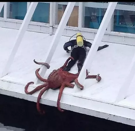 Naive scuba diver now in grip of horny tentacle monster by PowerfulAttempt7845