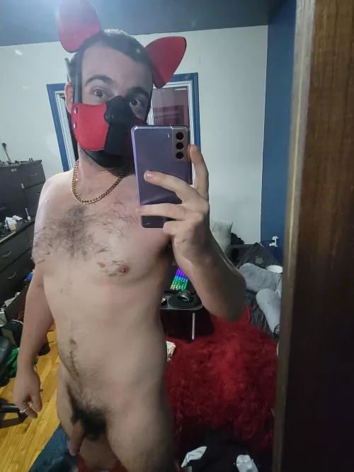 Naked puppy by Prize-Locksmith8940