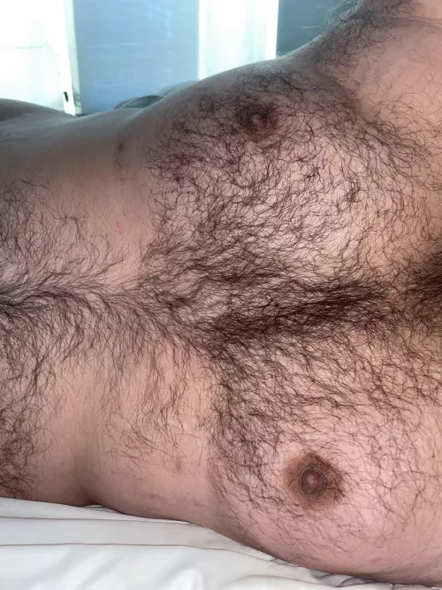 Nap time by Hairbair12