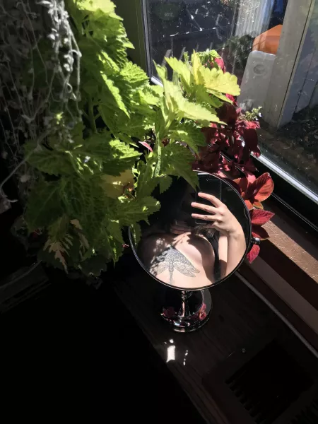 Natural sunlight on my perky tits by khunnybunny123