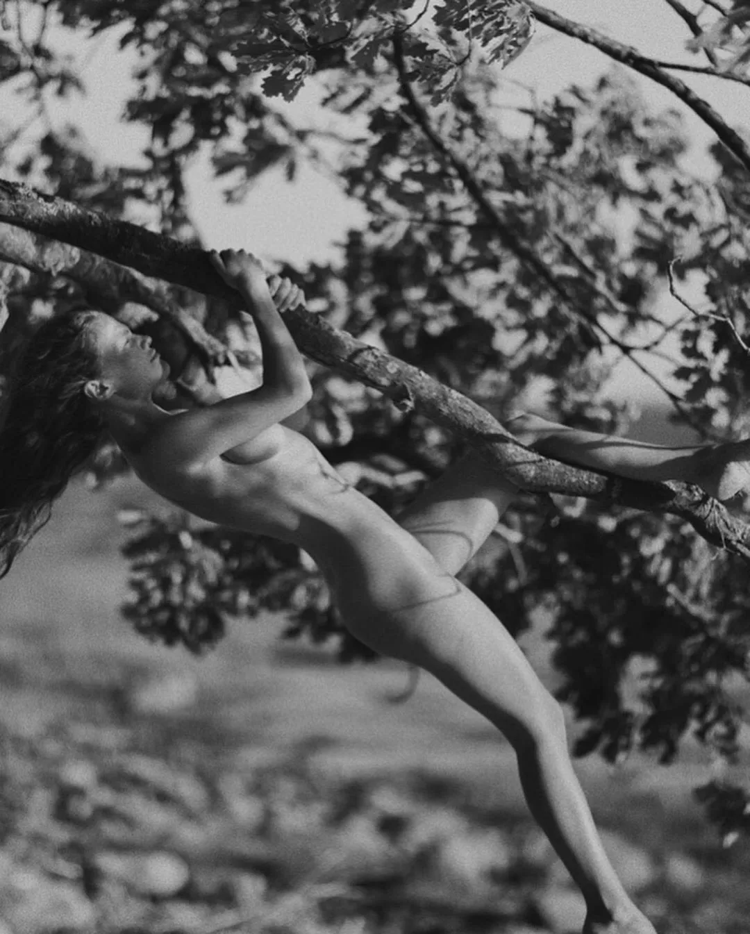 Nature posted by varunax9