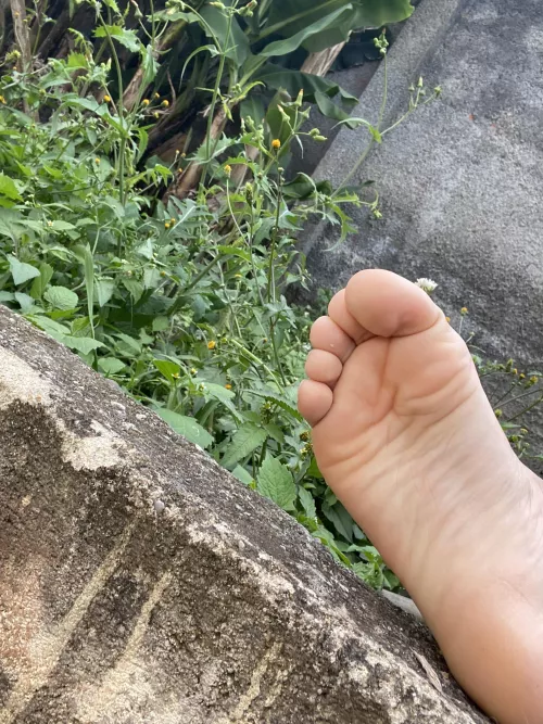 nature feet, they wild 🙈 come play dirty w them. 😏 dms/pms r welcome by pessbeach