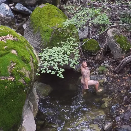 Natures Nudie Cuties by eagleyedtiger