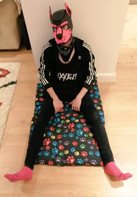 Naughty boys get a time out 🐾 by pinkpuppyjinx