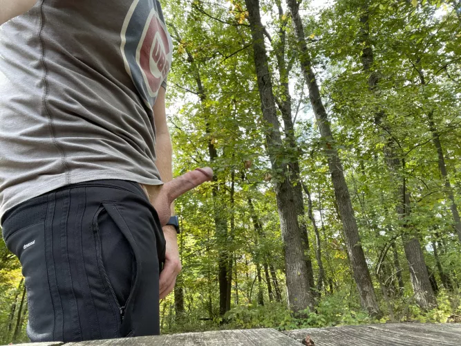 Naughty by nature… well in nature by Gingervitus8807