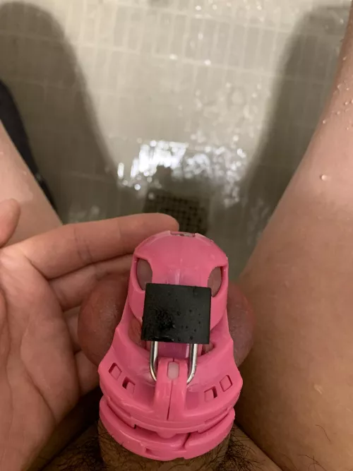 Naughty College Sissy, Please Be My Keyholder? by AshLovess