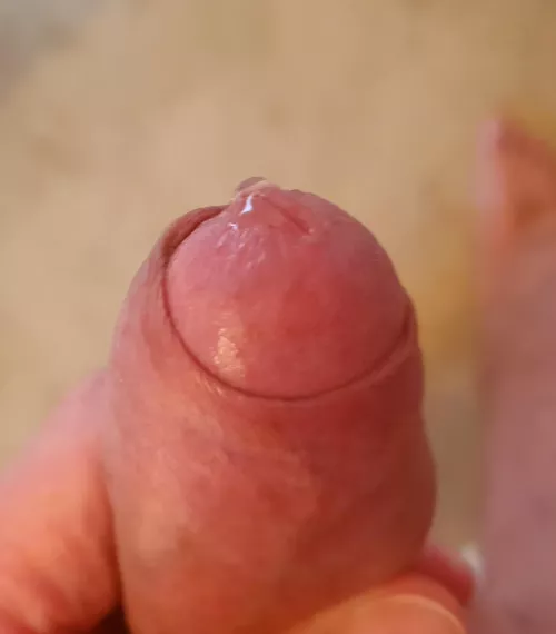 Nectar, first clear drop by GlenGrunt