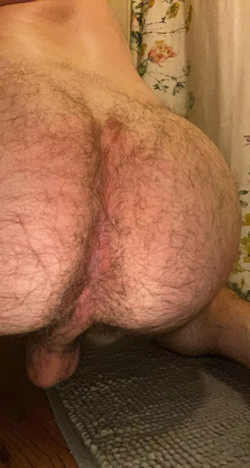 need a big hairy bear to fuck this ass ;) any volunteers? by jeenybottom69