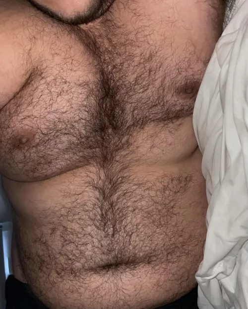 Need a cuddle buddy by Hairbair12