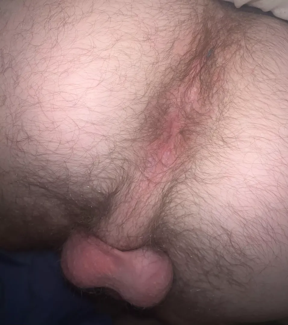 Need a face to sit on posted by anonymous48912