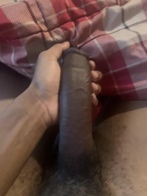 Need a hand or two by nemo_hoesss