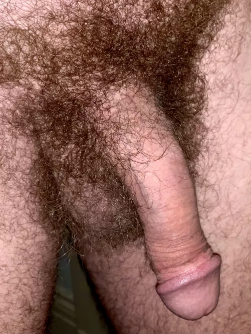 Need a hungry cocksucker down here. by ahhsf8