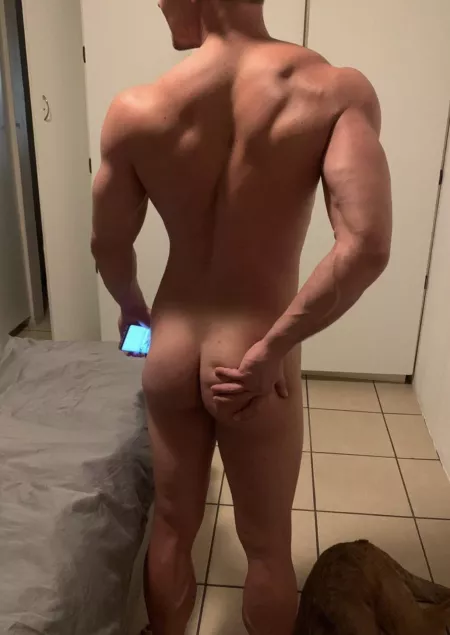 Need a ride by Fredjaslaves