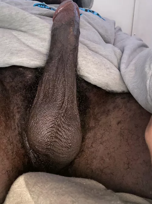 Need a sexy bbw by Most-Inspection-2998