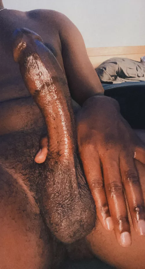 Need my balls licked and sucked by papaleafe