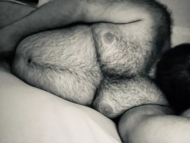 Need some company tonight by forest_bear1