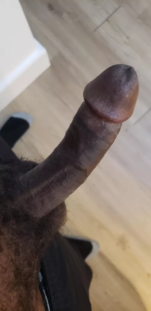 Need some female help this morning. Chat and inbox are open. by Credentials2