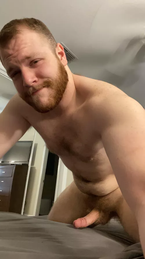 Need some warm furry snuggles tonight by seregon24