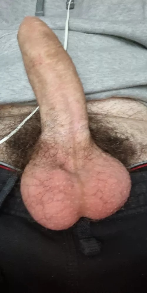 Need someone sucking on my balls while playing with my cock by Sufficient_Poem2930