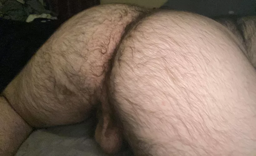 Need someone to dick me down good by hairybottomboy