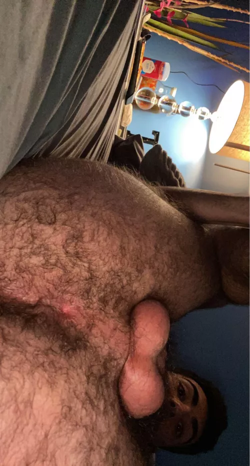 Need someone to lick my hairy hole and widen me up by AdStunning1001