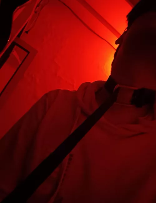 need someone to use me as their own slave by PaceAdministrative50