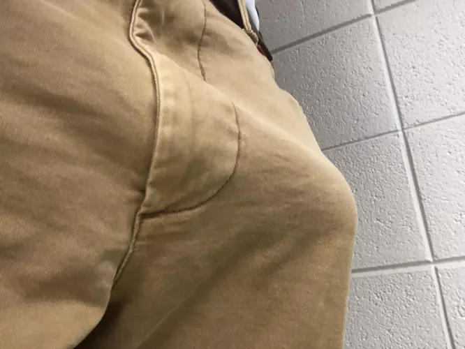 Need something to do at work. by Ok-Bowl7689