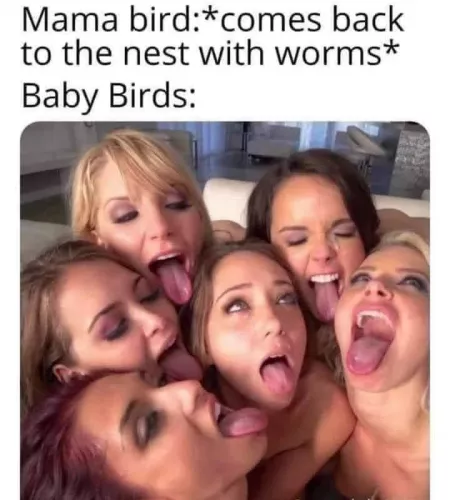 Need the video with all these beautiful women! Help out lol by drfizzition