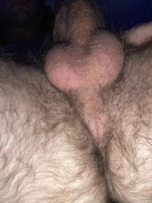 Need these hairy nuts sucked on bros by mattredditpost