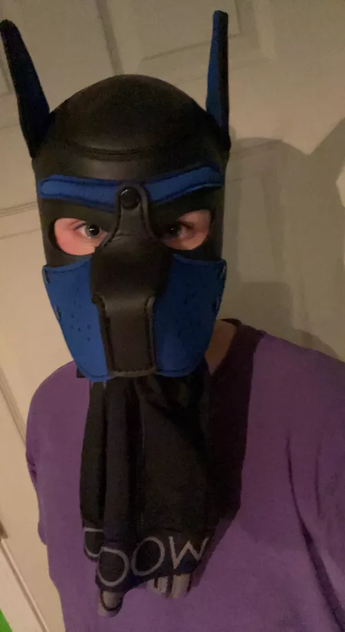 Need these underwear back? UwO by Musk_Enthusiast