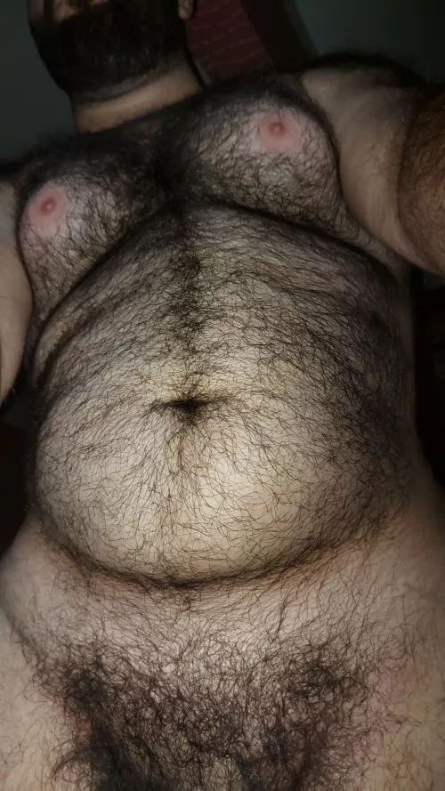 Need this bush to grow thicker by furqndbulk